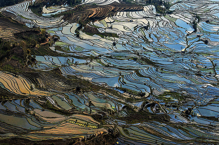 I miejsce w kategorii "Bountiful Earth", fot. Xuejun Xia
